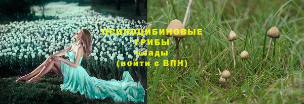каннабис Алзамай