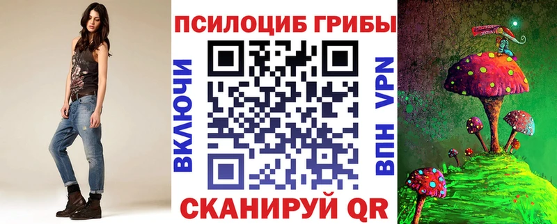 Галлюциногенные грибы Cubensis  купить  сайты  Славск 